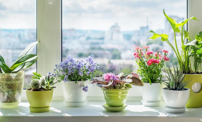 قصيدة بَنَاْتِيْ!!