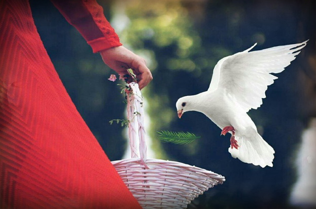 قصيدة بَنَاْتِيْ!!