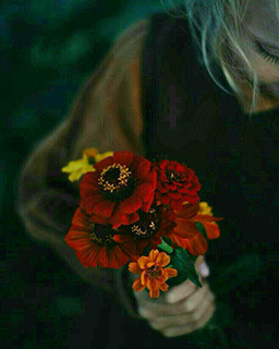 فليكن وصالكم كالنّدى