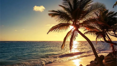 عوّد نفسك على الاحتساب