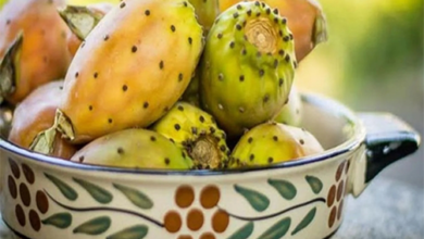 البرشومي للحامل ما بين الفوائد والأضرار