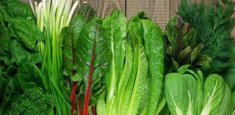 6 أطعمة تُعزز الكولاجين في الجسم بشكل طبيعي .. تعرف إليها