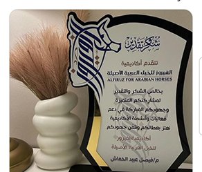 التميز والإبداع لكريري