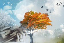 حكاية لم تُكتب بعد