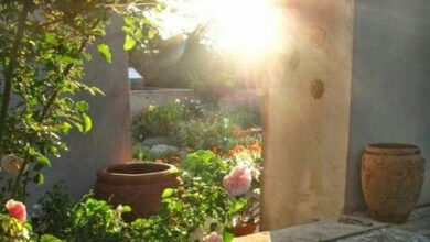 أصبوحتي حتى يعيش الصباح