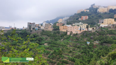 فيفاء الشموخ