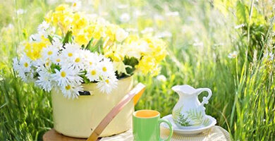 أصبوحتي و قت فريد