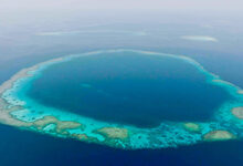 مركز الحياة الفطرية: إدراج" الثقوب الزرقاء" و "رأس حاطبة" ضمن قائمة المحميات الوطنية يعزز الريادة السعودية في الحماية البيئية