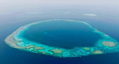 مركز الحياة الفطرية: إدراج" الثقوب الزرقاء" و "رأس حاطبة" ضمن قائمة المحميات الوطنية يعزز الريادة السعودية في الحماية البيئية