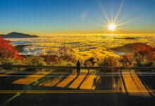 أصبوحتي نظرت الى الصباح