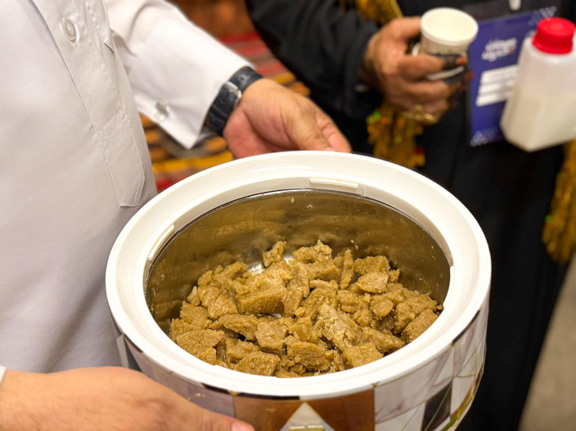 روح الجبل حين تتكلم فيفاء