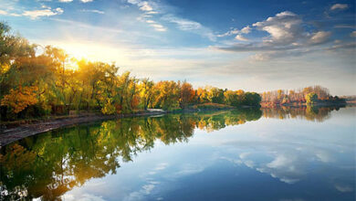 أصبوحتى لقاء مع الاشراق