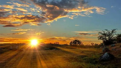 أصبوحتي ذلك الوطن الحبيب