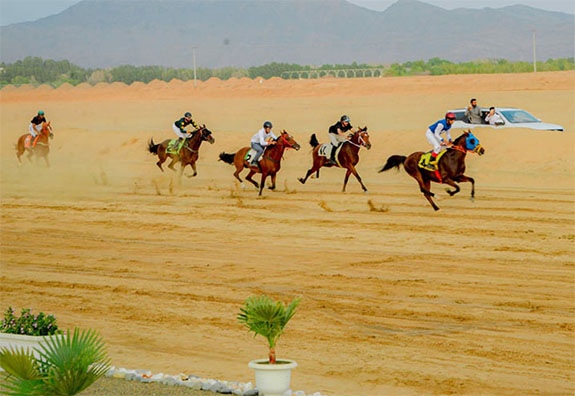 انطلاق سباق الفروسية السادس بمحافظة الحجرة