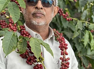 شيخُ البن… حين تتكئ الجبال على الرجال