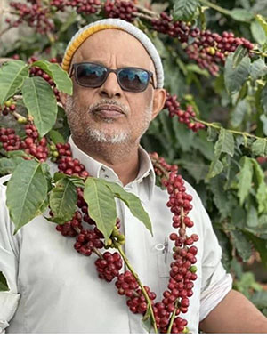 شيخُ البن… حين تتكئ الجبال على الرجال