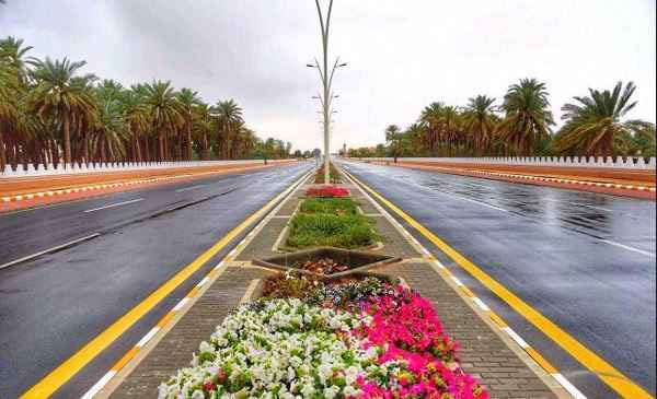 الخميس بداية موسم العقارب 