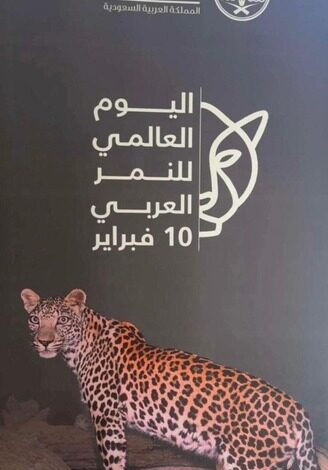 اليوم العالمي للنمر العربي